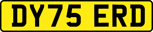 DY75ERD