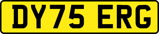 DY75ERG