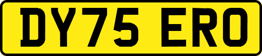 DY75ERO