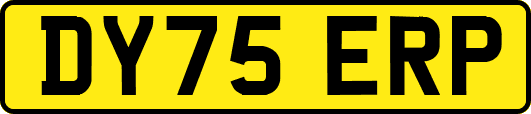 DY75ERP