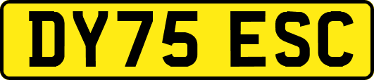 DY75ESC