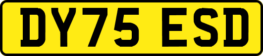 DY75ESD