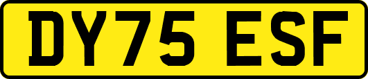 DY75ESF