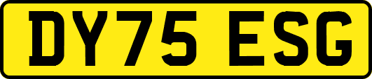 DY75ESG