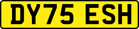 DY75ESH