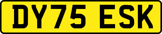 DY75ESK