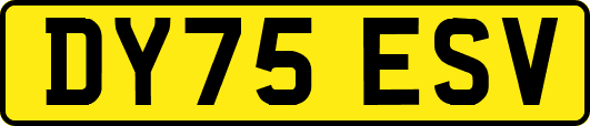 DY75ESV