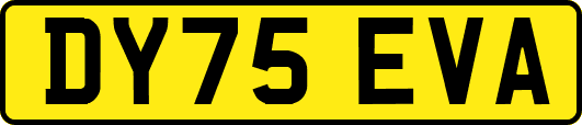 DY75EVA