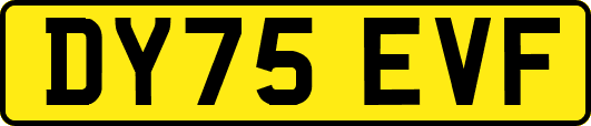 DY75EVF