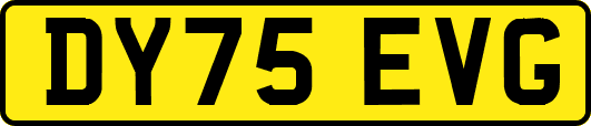 DY75EVG