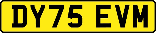 DY75EVM