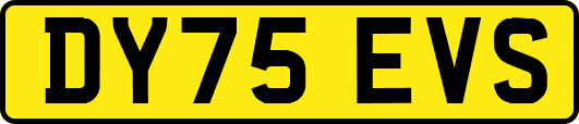 DY75EVS