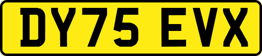 DY75EVX