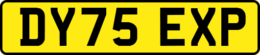 DY75EXP