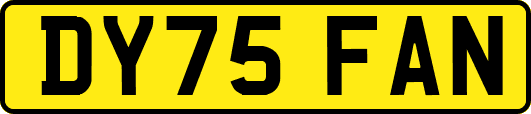 DY75FAN