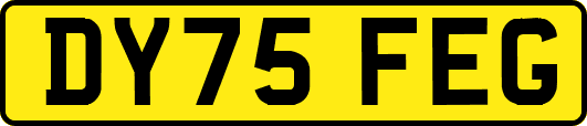 DY75FEG