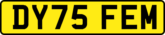 DY75FEM