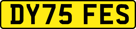 DY75FES