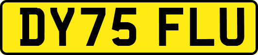 DY75FLU