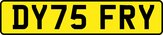 DY75FRY