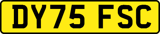 DY75FSC