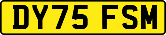 DY75FSM