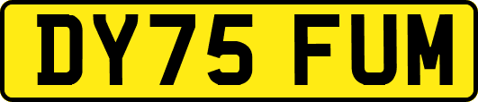 DY75FUM