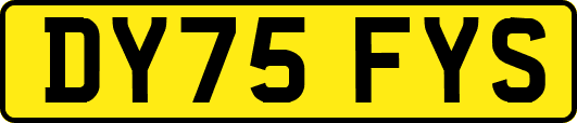 DY75FYS