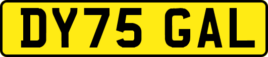 DY75GAL