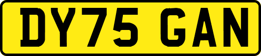 DY75GAN