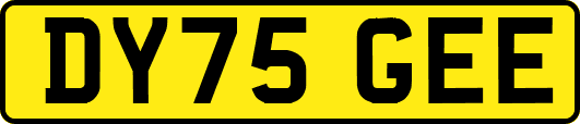 DY75GEE