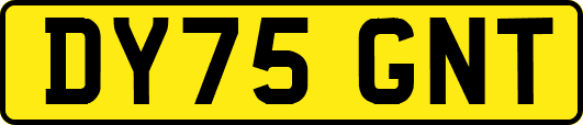 DY75GNT