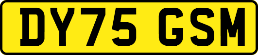 DY75GSM