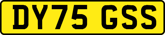DY75GSS