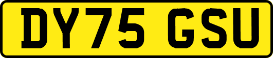 DY75GSU
