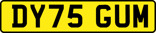 DY75GUM