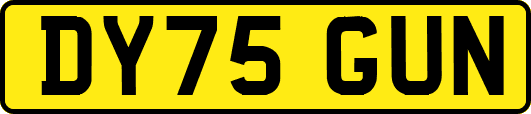 DY75GUN
