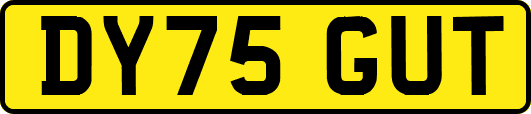 DY75GUT