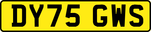 DY75GWS