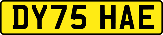 DY75HAE