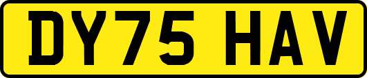 DY75HAV