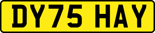 DY75HAY