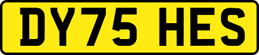 DY75HES