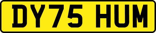 DY75HUM