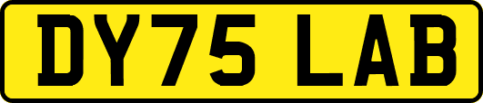 DY75LAB