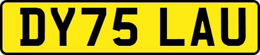DY75LAU