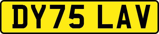DY75LAV