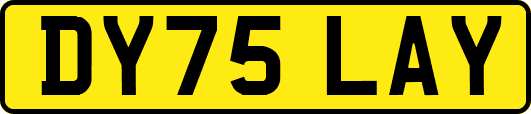 DY75LAY