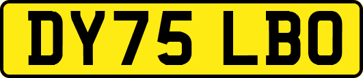 DY75LBO