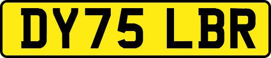 DY75LBR